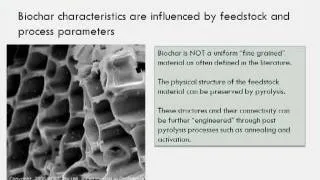 Biochar Basics