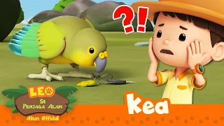 Burung ini mencuri KUNCI kita! | Kea | Leo Si Penjaga Alam | #minisode