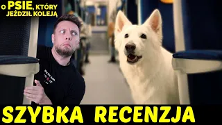 O psie, który jeździł koleją ★SzybkieRecenzje