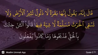Al-Baqarah ayat 71