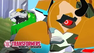 ‘Let’s Catch Us a Buffaloid!’ Official Clip 🐂 Robots in Disguise Season 1 | Transformers Official