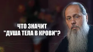 Что значит "душа тела в крови"?