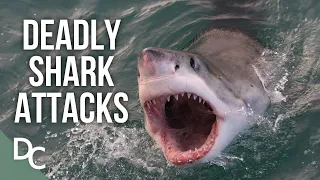 Deadly Shark Attacks Of Australia | Shark Alarm: Australia's Deadliest Year | Documentary Central