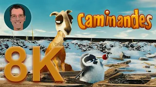 Caminandes 3: Llamigos - Animated short film in 8K Ultra HD - 4320p - 24fps - Upscaled with Nero AI