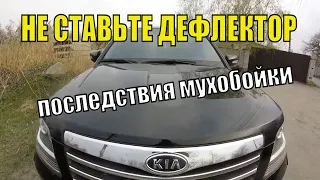 НЕ СТАВЬТЕ ДЕФЛЕКТОР КАПОТА НА АВТОМОБИЛЬ Последствия (мухобойки)