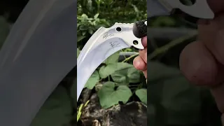 CS Hunting Karambit Knife