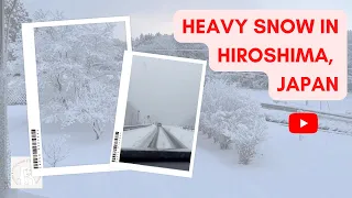 HEAVY SNOW IN HIROSHIMA, JAPAN | AMARAH CHANNEL