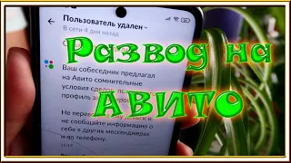 Развод на АВИТО/Как обманывают продавцы растений с АВИТО