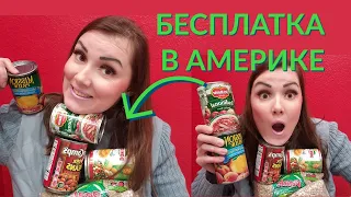 Бесплатные продукты в США // WIC программа для беременных, женщин и детей // Покупаю шторы в ROSS