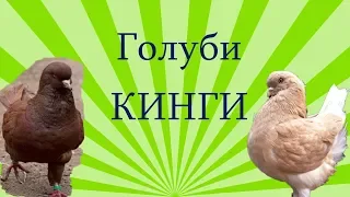 Голуби Кинги