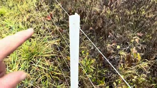 Greg explains his Timeless Post installation for his new perimeter fence on their leased farm.