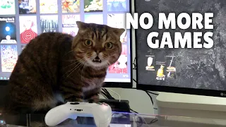 Why Won't Cats Let Humans Play Games? | Kittisaurus Villains