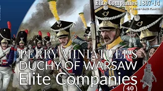 28mm Napoleonic Perry Miniatures,Duchy of Warsaw Infantry
