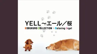 YELL～エール