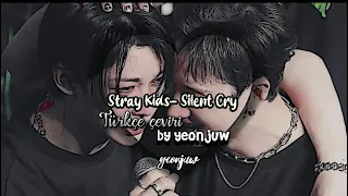 Stray Kids- Silent Cry Türkçe Çeviri (FMV)