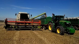 Żniwa 2016 - Rzepak & Pszenżyto - Claas - John Deere - Chomęcice