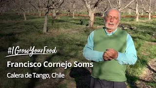 #IGrowYourFood - Meet Francisco Cornejo, an organic walnut farmer from Chile 🇨🇱 Full video