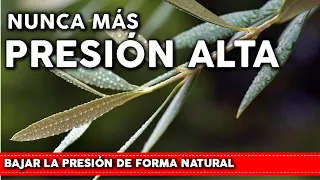 6 Plantas para bajar la PRESIÓN ALTA de forma natural - Como usarlas y cultivarlas en tu jardin