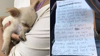 Owner Abandons Abused Puppy in Airport Bathroom with Heartbreaking Note