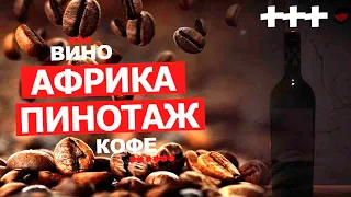 Вино на вкус, как кофе. "Бариста Пинотаж" ЮАР, "Barista" Pinotage Africa. Магазин красное и белое.