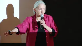 Global Urbanism - Asymmetric War & Cities - Saskia Sassen