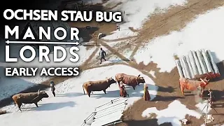 Manor Lords Ochsen Stau Bug in Manor Lords Deutsch German Gameplay