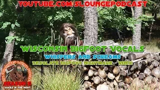 Bigfoot Screams in Wisconsin - SLP611