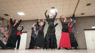 Opname tijdens flamencoles in Leeuwarden / Soleá