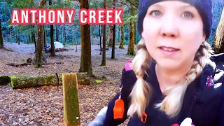 Solo Backpacking in Great Smoky Mountains - Anthony Creek Campsite 9