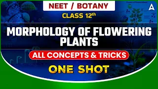 MORPHOLOGY OF FLOWERING PLANTS CLASS 12 ONE SHOT | NEET 2024 | ALL CONCEPTS & TRICKS | BY TARUN SIR