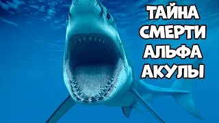 ТАЙНА СМЕРТИ АЛЬФА АКУЛЫ