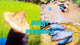Buhay Probinsya || pa hubas sa fishpond (Davao sur country side phil.)
