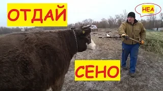 Посылка от Василька / Поставили камеру в коровник / Коровы теперь дома