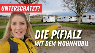 Die Pfalz - Schön und unterschätzt?🥰 Mit dem Wohnmobil in Rhodt und Bad Dürkheim