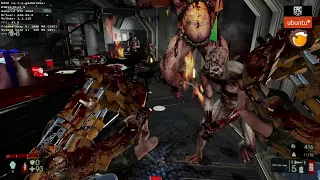 Lutris Epic Store Linux | Killing Floor 2 Free | GTX 1650 | Ubuntu 20.04 | 45-60 fps | Online OK