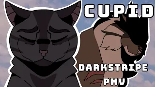 [Warriors] Darkstripe PMV - CUPID