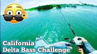 Chasing Bass on California Delta | June 2023 Fishing Update