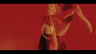 Three Colours: Red de Krzysztof Kieslowski | Um Filme, Uma Releitura em Dança | Luísa Bortoli