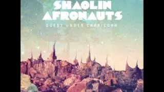 The Shaolin Afronauts - Gayanamede Prelude