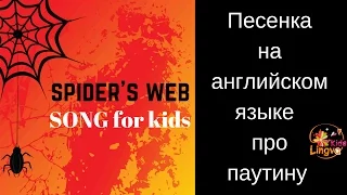 Детская песенка на английском языке про  паутину паука Spiders web Song for kids