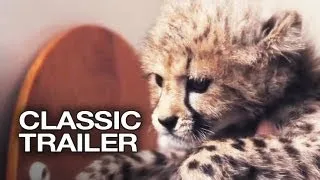 Duma (2005) Official Trailer #1 - Cheetah Movie HD