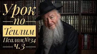 Урок по Теилим (Псалом№34 ч.3)| Царь Давид | раввин Элиягу Эссас