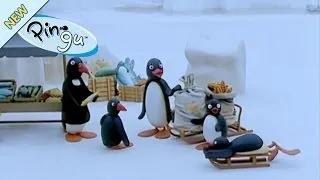 Pingu Has A Day Off - Pingu Official Channel