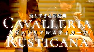 【カヴァレリア・ルスティカーナ 間奏曲】Cavalleria Rusticana Intermezzo｜Pietro Mascagni｜Violin Cello & Piano