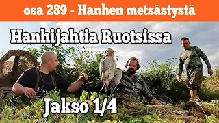 Osa 289 - Hanhen metsästystä Ruotsissa - Jakso 1/4 - 2022/2023