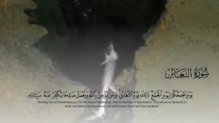 Surah At - Taghabun Ayah 1 - 18 || Yasser Al zaili.