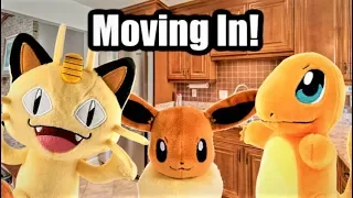 Moving In! - Pokemon Plush Pals