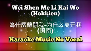 Wei Shen Me Li Kai Wo (Hokkien) 為什麼離開我~为什么离开我 (闽南) karaoke no vocal