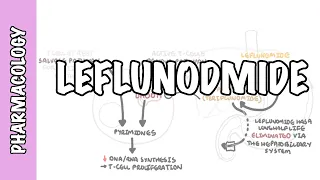 Leflunomide (DMARD) pharmacology - mechanism of action, adverse effects and cholestyramine
