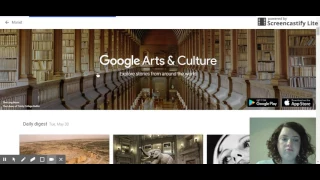 Google Arts and Culture Explanation